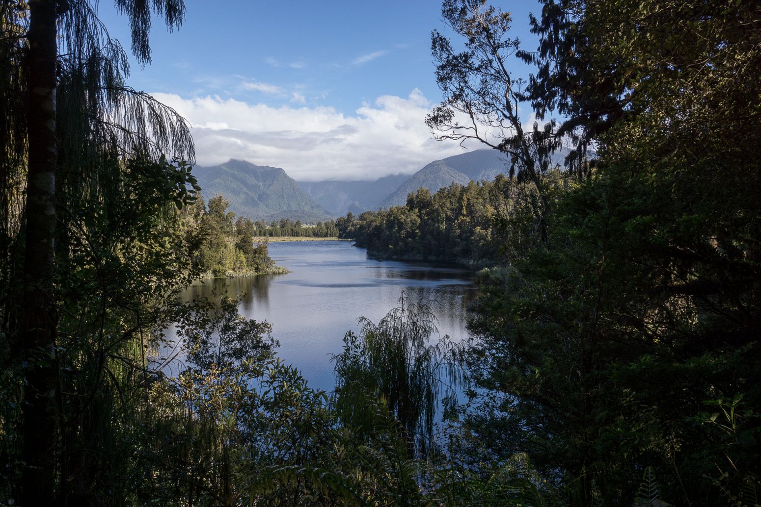 Lake Matheson, Westland NP, New Zealand